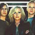 Cardigans , The